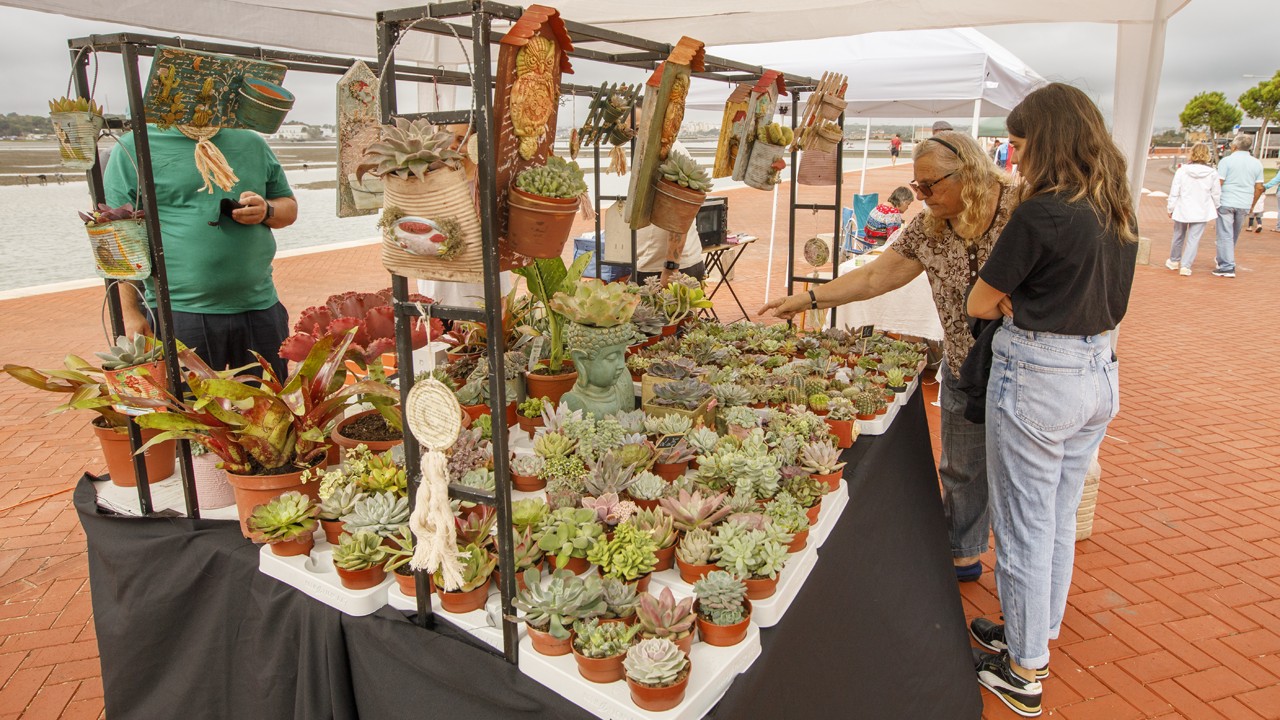 Seixal Green Market: Consumo + Sustentável