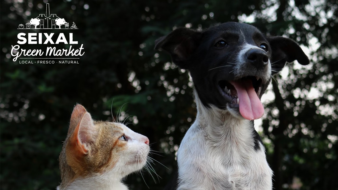 «Os Nossos Amigos Animais» no Seixal Green Market