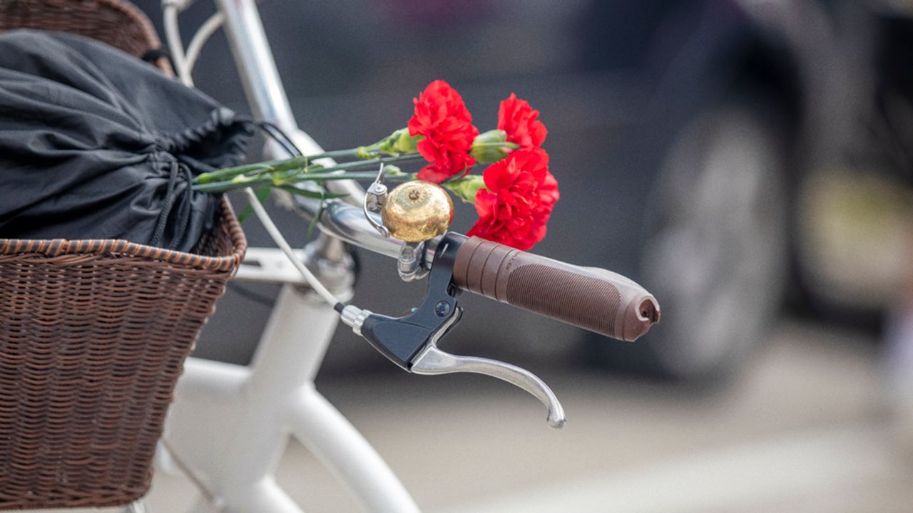 52 anos do 25 de Abril assinalados com programa diversificado