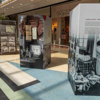 07/04/2025 | Exposição itinerante dedicada à saúde no Seixal