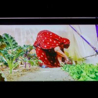 22/10/2024 | Festival Internacional Cinema FiSahara - Fórum Cultural Seixal