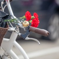 29.º Passeio de Cicloturismo