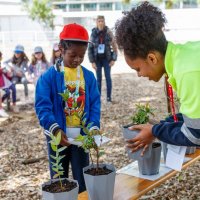 13/05/2025 | Feira de Projetos Educativos | Parque Urbano do Seixal