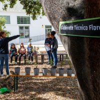 13/05/2025 | Feira de Projetos Educativos | Parque Urbano do Seixal