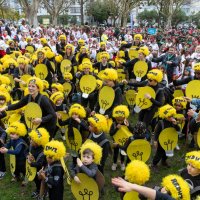 19/02/2024 | Desfile de Carnaval das Escolas