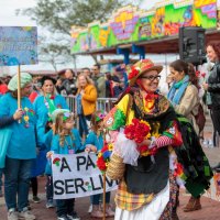 19/02/2024 | Desfile de Carnaval das Escolas