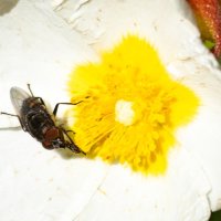 26/04/2025 | Comemorações do 2.º aniversário do Parque Metropolitano da Biodiversidade