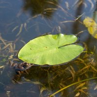 26/04/2025 | Comemorações do 2.º aniversário do Parque Metropolitano da Biodiversidade