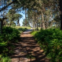 Comemorações do 2.º aniversário do Parque Metropolitano da Biodiversidade