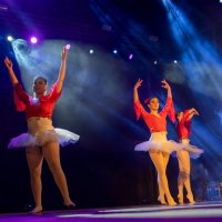 26/04/2025 | Espetáculo de dança A Liberdade | Dia Mundial da Dança