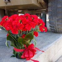 25/04/2025 | Homenagem as Bandeiras da Liberdade erguidas em Abril