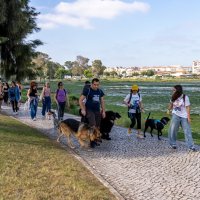 11/05/2024 | Caominhada por Abril | Zona ribeirinha de Arrentela