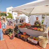 Seixal Green Market