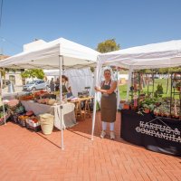 07/09/2024 | Seixal Green Market