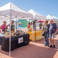 07/09/2024 | Seixal Green Market