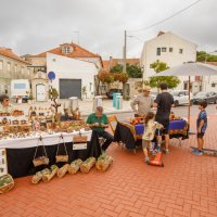 05/10/2024 | Seixal Green Market