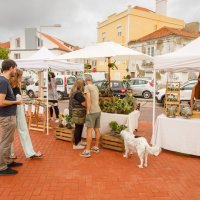 05/10/2024 | Seixal Green Market